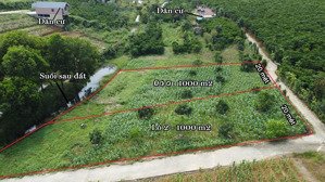 bán đất 1.000m2 (200m2 thổ cư) xã lộc ngãi, bảo lâm - đường ô tô vào tận nơi