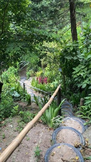 sở hữu mảnh vườn đồi view hồ trị an 1200m2 - shr - giáp suối - cách ql20 chỉ 500m