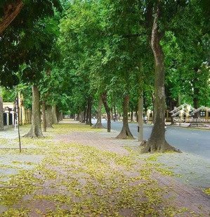 cho thuê cửa hàng nhỏ xinh 95 lý nam đế