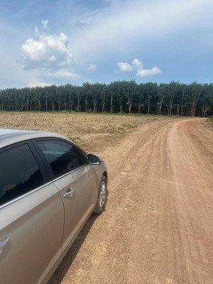 em còn mấy lô đất, sổ hồng riêng, sẵn, công chứng nhanh ạ