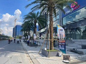 bán đất mặt tiền đường tôn thất tùng (thống nhất), cổng bệnh viện đại học sức khoẻ