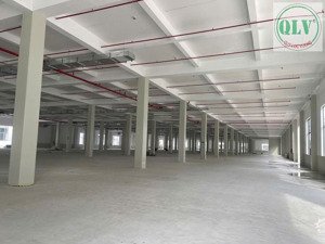 cho thuê khu nhà xưởng kcn bàu bàng, bình dương 99.964m²