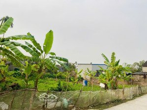 bán đất tại xã đông phương, kiến thụy, hải phòng, 5 tỷ, 190 m2