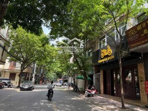 mặt phố trung tâm cầu giấy, 58m², vỉa hè tương lai ra hoàng quốc việt, cơ hội vàng đầu tư!