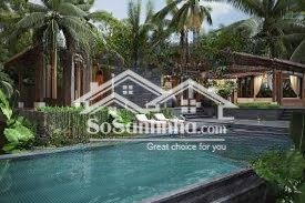 cho thuê nhà khu vực sóc sơn rộng 500m 200triệu/1 tháng