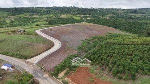 bỏ phố về vườn sở hữu ngay 1000m2 đất đẹp tại tân hà, lâm hà gần đà lạt