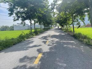 Đất nền đô thị 84m2 kdc 1B Cần bán giá đầu tư 890tr