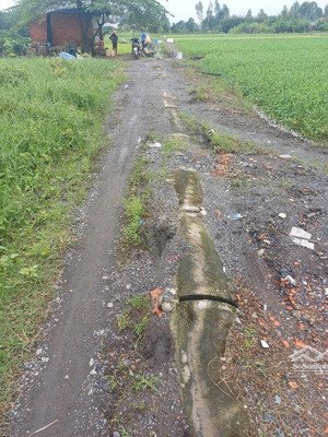 bán đất thạnh xuân 33, quận 12, diện tích 4x17,5m