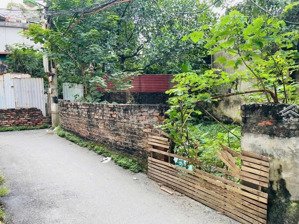 bán đất do nha - tây mỗ - lô góc 2 mặt thoáng - mặt tiền rộng - giá 5.2 tỷ, dt 38m ~ 137tr/m