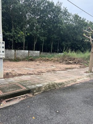 bán đất khu dân cư hưng phát an điền bến cát. dt 77m2, full thổ cư. giá rẻ