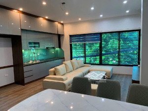 cần bán nhà phố hoa lâm ,ô tô tránh kinh doanh .dt 47 m x5 tầng x5 mt giá đầu tư