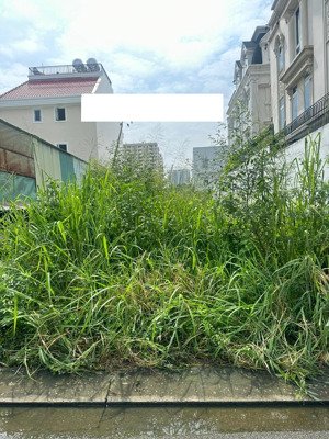 bán nền biệt thự tại an phú an khánh, dt 160 m2 giá 31 tỷ. lh 