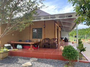 siêu phẩm nhà gỗ view vườn ao cá, trái cây đủ loại, hơn 1ha chỉ 6.5 tỷ sẵn vườn cà phê thu hoạch