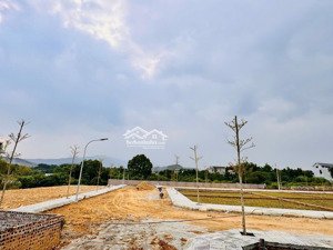 bán đất tại đường 21a, hoà lạc, phú cát, quốc oai, hà nội, 30 triệu/m2, 100 m2, hàng hiếm.