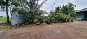 cần bán nhà xưởng xã phú hòa đông (trước đây là xã tân thông đông), tp.hc