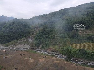 101 ha đất rừng cần bán tại phù yên sơn là cách khu du lịch tà sùa 5km