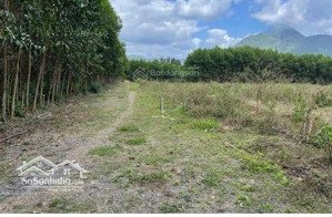 chính chủ bán nhanh 2022,4m2 đất khánh trung, khánh vĩnh, cách dân 350m, gần tỉnh lộ 8b chỉ 590tr