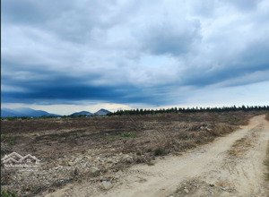 bán đất tại phú sung xã hàm cường, huyện hàm thuận nam, tỉnh bình thuận