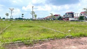 đất đấu giá bạch đa kim hoa mê linh hà nội