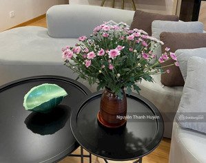 chính chủ là người yêu nghệ thuật thích cái đẹp gửi bán căn hộ tâm huyết the zei mỹ đình 3pn