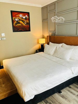 khách sạn phố cổ, mặt phố lò sũ, 80m2, 7 tầng, mt 6m, 18 phòng, sổ đỏ 1 chủ, giá 75 tỷ, gpxd 9 tầng