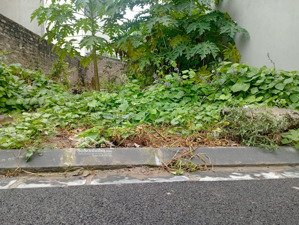 chính chủ cần tiền gửi bán gấp mảnh đất đẹp thôn đông trù - đông hội - đông anh - tp hà nội