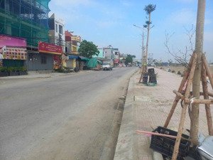 lô n21 đất 117,5m2 cần bán mặt đường đấu giá đồng nẻo - đồ sơn - hải phòng