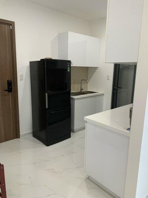 cho thuê dlusso, giá siêu hời 15 triệu, 71m2, 2pn, 2wc tại nguyễn thị định, q2, 