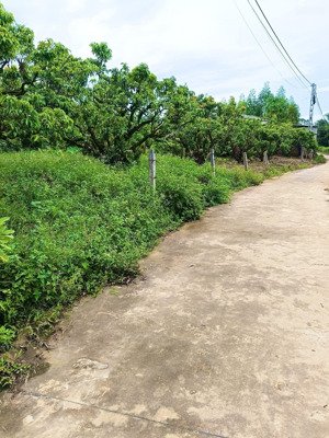 cần bán 304m2 đất tại lục nam bắc giang - rẻ +rộng+ pháp lý chuẩn + đường to 304m2 giá 510tr