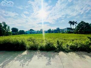 Ngộp Bank bán 588m2 đất thổ HAI MẶT TIỀN TRƯỚC – SAU gần khu công nghiệp Nam Thuận Đức Hòa Đông