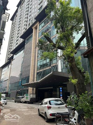 mảnh đất mặt phố đồng cổ - diện tích 200m2 - mặt tiền 9.5m - thông thụy khuê - giá đầu tư