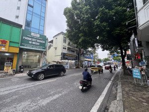 cực hiếm đất gần mặt phố trường lâm, 173m2, chỉ khoảng 150tr/m2