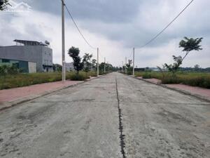 Bán lô A38 đấu giá Cầu Tre, Hồ Sơn, Tam Đảo băng 2 DT302