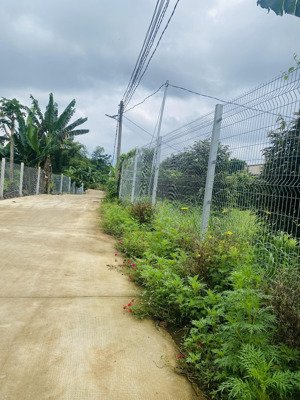 bán 3000mv có 100 thổ cư ,vườn sr năm 2 tại hàng gòn đồng nai