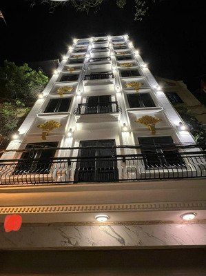 bán gấp nhà mặt phố hai bà trưng p hoàn kiếm, 125m6t, mt 5.5m, 1 tỷ/m2 