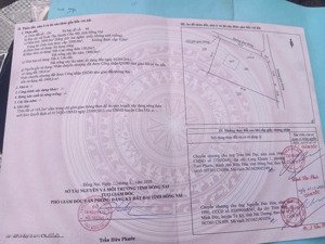 2000m2 thổ cư 100m2 ấp 4 xã xuân tây - cẩm mỹ, đất 2 mặt tiền, đất bằng, vuông vức