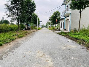 bán lô 100m tại mặt đường đôi tđc đại học quốc gia , đất đẹp vuông vắn xung quanh dân cư hiện hữu