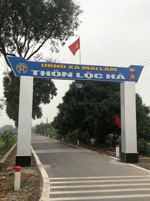 bán gấp mảnh đất rất đẹp ô tô nhỏ qua - tại lộc hà - xã đông anh ( xã mai lâm cũ ) diện tích: 48.9m