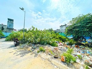 lô đất đẹp nhiều công năng 8x28m đường nhựa 8m trần xuân soạn - quận 7