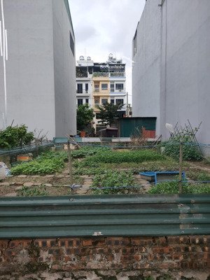 bán đất phạm văn đồng, 65m2, mt 6m, phân lô, ô tô, kinh doanh, nhỉnh 12tỷ