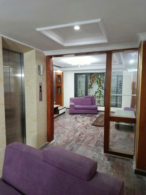 nhà võ thị sáu - hai bà trưng - 56m2 x 6tầng (thang máy) - giá chỉ: 17,9tỷ - phân khúc hiếm