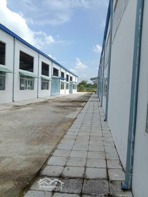 cho thuê kho nhà xưởng tại vĩnh long giá cả thương lượng chính chủ