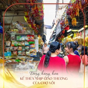 shophouse siêu hiếm, 100m2 tại quốc lộ 1a, hà hồi, thường tín, hà nội