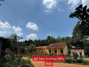 cần tiền xây nhà chủ mong muốn bán nhanh 1.000m2 thuộc hớn quản, bp. dân cư hiện hữu giá chỉ 350tr