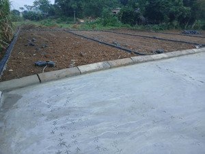 bán lô đất thổ cư giá tốt gần kcn thạch quảng.
diện tích: 100m2 thổ cư 100%