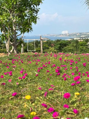 homestay view biển, xinh xắn, nội thất sẵn sàng cho thuê dài hạn