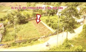 -lô đất 240m có 80m tc mặt tiền 7,5m tại xã phú mãn cũ nay thuộc xã phú cát gần hồ 