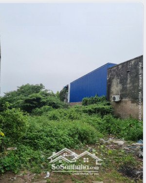 cần bán lô đất đẹp 70m2 giá ưu đãi tại xuân diệu, hòa nghĩa. giá ưu đãi