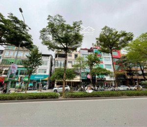 bán gấp lô đất đẹp tại phố đào tấn sát đại sứ quán nhật bản, dt 109m2- mt 6,5m- giá đầu tư