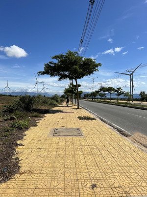 bán mảnh đất 1542m2 hnk quy hoạch tmdv xã phước dinh- thuận nam. cách dự án điện hn 3km